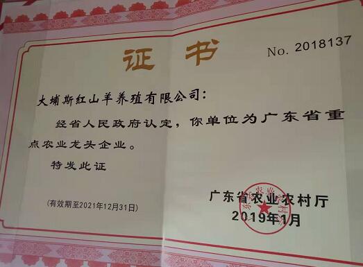 廣東省重點農(nóng)業(yè)龍頭企業(yè)